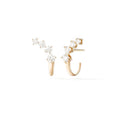 Isabella Climber Earrings
